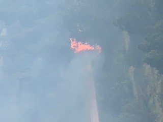 IMG 0943