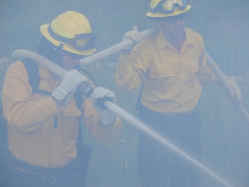 WILDLAND FIREFIGHTING TRAINING